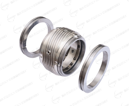 Single/double end face cartridge seal-SB250